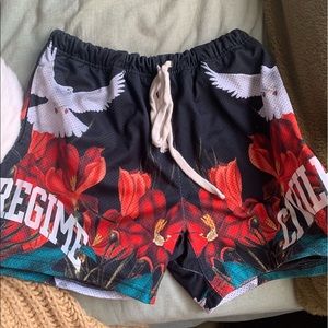 Civil Regime Shorts